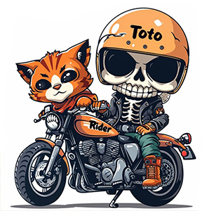 rider maroc