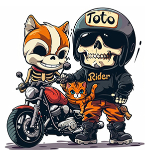 rider maroc